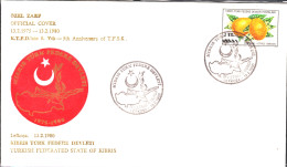 KK-029D NORTHERN CYPRUS 5th ANNIVERSARY F.D.C. - Storia Postale