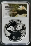 China 2023 Coin 10 Yuan China Panda Silver Coin  30g  RMB - Chine
