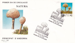 FDC  1989 - Lettres & Documents