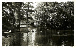 Belgique - Anvers - Lier - Lierre - Parc De La Ville - Lier