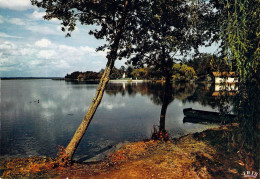 40 - Soustons - Le Lac - Soustons