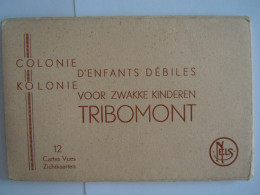 Tribomont Carnet 12 Cartes Vues Zichtkaarten Colonie D'enfants Débiles Kolonie Voor Zwakke Kinderen - Herve