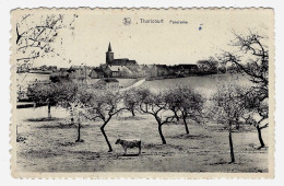 CPSM THORICOURT ( Silly ) Panorama ( Vue Village Et Vache Dans Pré ) Circulée En 1951 - Thill / Nels - 2 Scans - Silly
