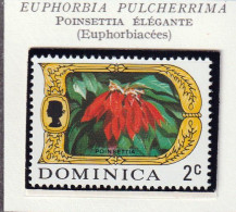 DOMINIQUE - Fleurs, Flowers, Poinsettia élégante - 1971 - MNH - Dominicaine (République)