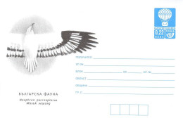 821  Percnoptère D'Égypte: PAP Bulgarie, 2001 - Egyptian Vulture Postal Stationery Cover. Bird Of Prey Rapace - Aigles & Rapaces Diurnes