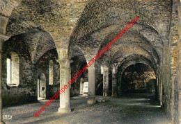 Ruines De L'Abbaye - La Brasserie - Villers-la-Ville - Villers-la-Ville