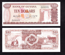 GUYANA 10 DOLLARI 1989 PIK 23D FDS - Guyana