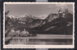 Weissensee M. Sauling, Straussberg U Tegelberg-allgau - Weissensee