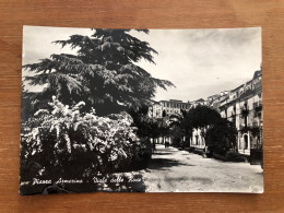 PIAZZA ARMERINA ( ENNA ) VIALE DELLE ROSE 1955 - Enna