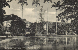 PC BARBADOS, CODRINGTON COLLEGE, Vintage Postcard (b50053) - Barbados (Barbuda)