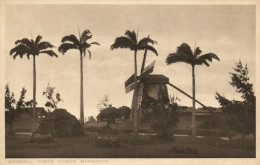 PC BARBADOS, WINDMILL SUGAR WORKS, Vintage Postcard (b50056) - Barbados (Barbuda)