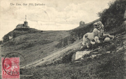 PC BARBADOS, THE LION, GUN HILL, Vintage Postcard (b50068) - Barbados