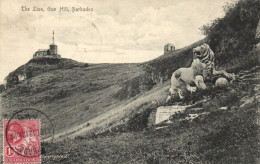 PC BARBADOS, THE LION, GUN HILL, Vintage Postcard (b50068) - Barbades