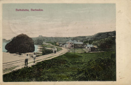 PC BARBADOS, BATHSHEBA COASTAL SCENE, Vintage Postcard (b50072) - Barbados (Barbuda)