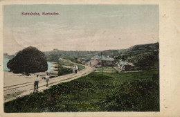 PC BARBADOS, BATHSHEBA COASTAL SCENE, Vintage Postcard (b50072) - Barbades