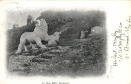PC BARBADOS, AT GUN HILL, THE LION, Vintage Postcard (b50075) - Barbados (Barbuda)