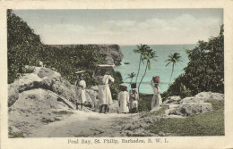 PC BARBADOS, FOUL BAY, ST. PHILIP, Vintage Postcard (b50076) - Barbados