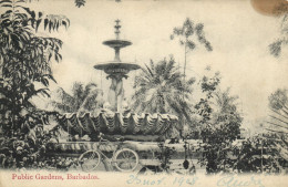 PC BARBADOS, PUBLIC GARDENS, FOUNTAIN, Vintage Postcard (b50080) - Barbados (Barbuda)