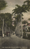 PC BARBADOS, PINE ROAD, BELLOVILLE, SHOWING TRAM, Vintage Postcard (b50083) - Barbados