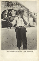 PC BARBADOS, NATIVE SUCKING SUGAR CANE, Vintage Postcard (b50085) - Barbades