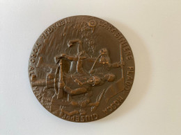 Medaglia In Bronzo Commemorativa Del Carabiniere PLADO' MARCO GIUSEPPE - Italien