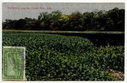 Costa Rica 1927 Postcard Parismina Lagoon - Lily; Scott 121 - 5c. General Post Office - Costa Rica