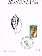 NOUVELLE CALEDONIE CALEDONIA Cad Handstamped Cachet Commemoratif Exposition Coquillages Rossiniana 12/09/84 BE - Covers & Documents