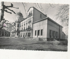 83 // LE LUC EN PROVNECE   Maison De Repos Et De Convalescence    LE PARADIS  191-6  Cpsm Gand Format - Le Luc