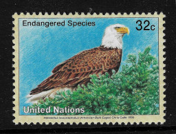 United Nations 1995 MiNr. 682 New York - III  Birds Of Prey The Bald Eagle ( Haliaeetus Leucocephalus) 1v MNH** 0.80 € - Aigles & Rapaces Diurnes