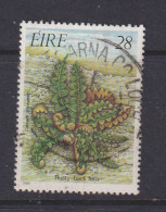 IRELAND - 1986  Ferns  28p Used As Scan - Used Stamps