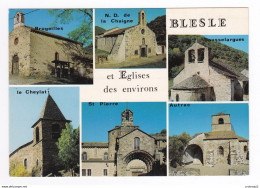 43 BLESLE Et Environs N°17093 Egises St Pierre Brugeilles Cheylat Bousselargues Autrac ND De La Chaigne VOIR DOS - Blesle