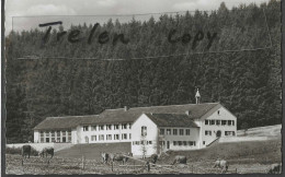 Allemagne, Isny, Sport-Sanatorium,  Gelaufen,  Circuée - Isny