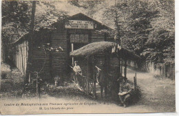 78 Centre De Réadaptation Aux Travaux Agricoles De GRIGNON - Les Blessés Des Yeux - Grignon