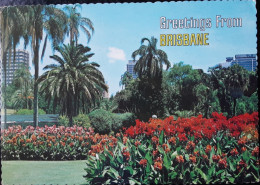 Brisbane - The Botanical Gardens - B13 - Brisbane