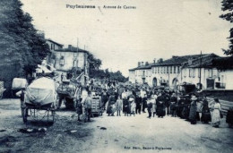 81 - Puylaurens (Tarn) - Avenue De Castres - Puylaurens