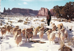 1 AK USA / Arizona-Utah * Monument Valley - An Early Snow Covers Monument Valley With A Blanket Of White * - Monument Valley