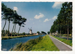 DAMME - De Molen En Kanaal Brugge-Sluis. - Damme