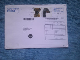 Enveloppe, Guernsey Post, 2023,  2 Timbres Chiens, Border Terrier, Dobermann - Guernesey