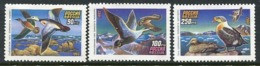 RUSSIA 1993 Wild Ducks II MNH / **. .  Michel 320-22 - Unused Stamps