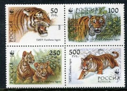 RUSSIA 1993 Amur Tigers In Block MNH / **. .  Michel 343-46 - Ongebruikt