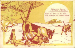 1918, Feldpostkarte "Flieger - Pech" Gelaufen - Lettres & Documents