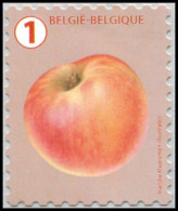 COB Rouleau N° :   R 145 (**)  Grande Dentelure - Coil Stamps