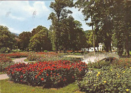 AK 175017 AUSTRIA - Baden Bei Wien - Rosarium - Baden Bei Wien