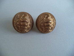 Bouton Lot De 2 Médecine Militaire Officier De Santé SELLIER & Cie Doré Bombé - Boutons