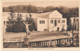 2f.559  TORINO - Esposizione 1928 - Padiglione Alimentazione - Ausstellungen