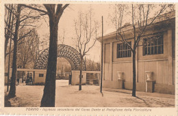 2f.560  TORINO - Esposizione 1928 - Ingresso Secondario Dal Corso Dante Al Padiglione Della Floricoltura - Ausstellungen