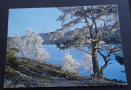 Winter On Loch-an-Eilean, Inverness-shire - J. Arthur Dixon - DRG - Inverness-shire