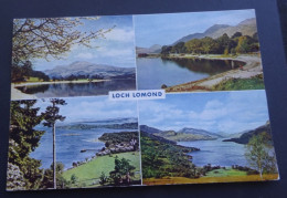 Loch Lomond Composite - Natural Colour Photographs - # 4756 - Dunbartonshire