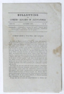 Bullettino Del Comizio Agrario Di Alessandria - Anno IX - N. 11 - Novembre 1875 - Altri & Non Classificati