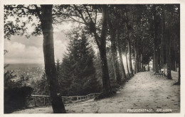 ALLEMAGNE - Freundenstadt - Anlagen  - Forêt - Carte Postale Ancienne - Freudenstadt